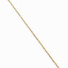 A thin Awe Inspired Chain Necklace drapes diagonally on a white background, drawing attention to its elegant length.