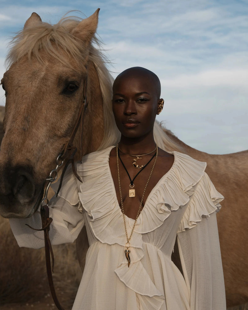 Awe Inspired Necklaces 14K Yellow Gold Vermeil Long Tiger's Eye Horn Charm Necklace