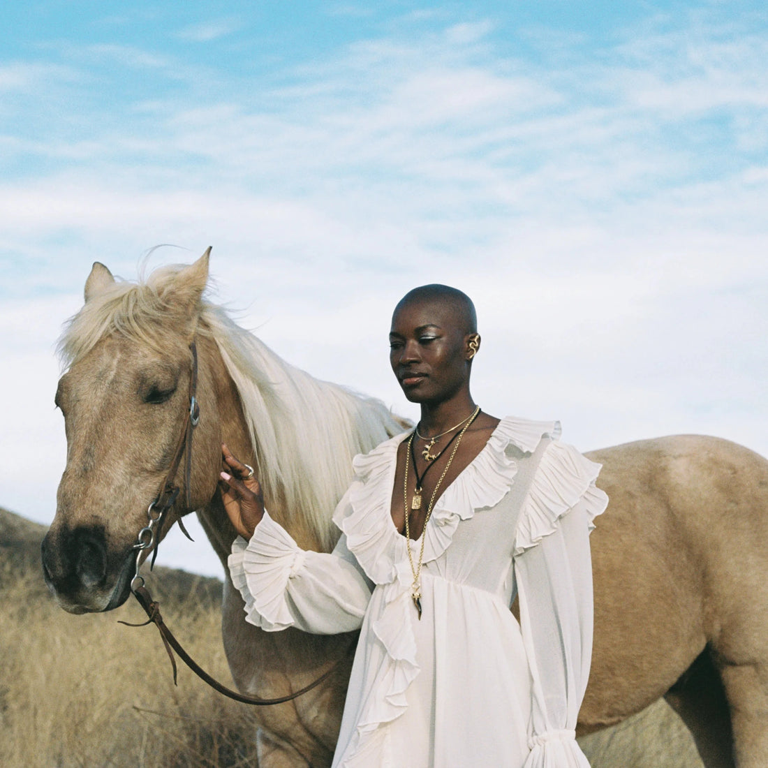 Awe Inspired Necklaces 14K Yellow Gold Vermeil Long Tiger's Eye Horn Charm Necklace