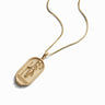 Awe Inspired Necklaces 14K Yellow Gold Vermeil / Sekhmet / 16"-18" Egyptian Goddess Tablet Necklace