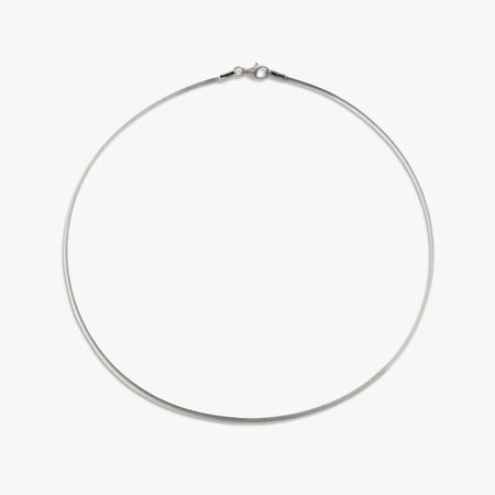 Charm Collector Collar Necklace