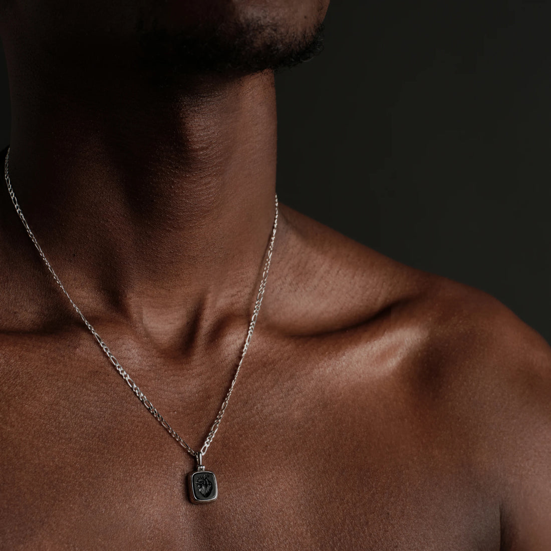 Awe Inspired Necklaces Anatomical Heart Figaro Necklace