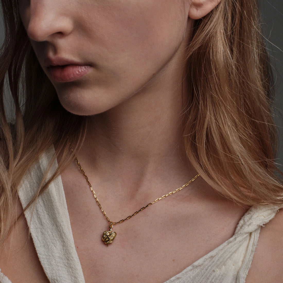 Awe Inspired Necklaces Diamond Serpent Heart Necklace