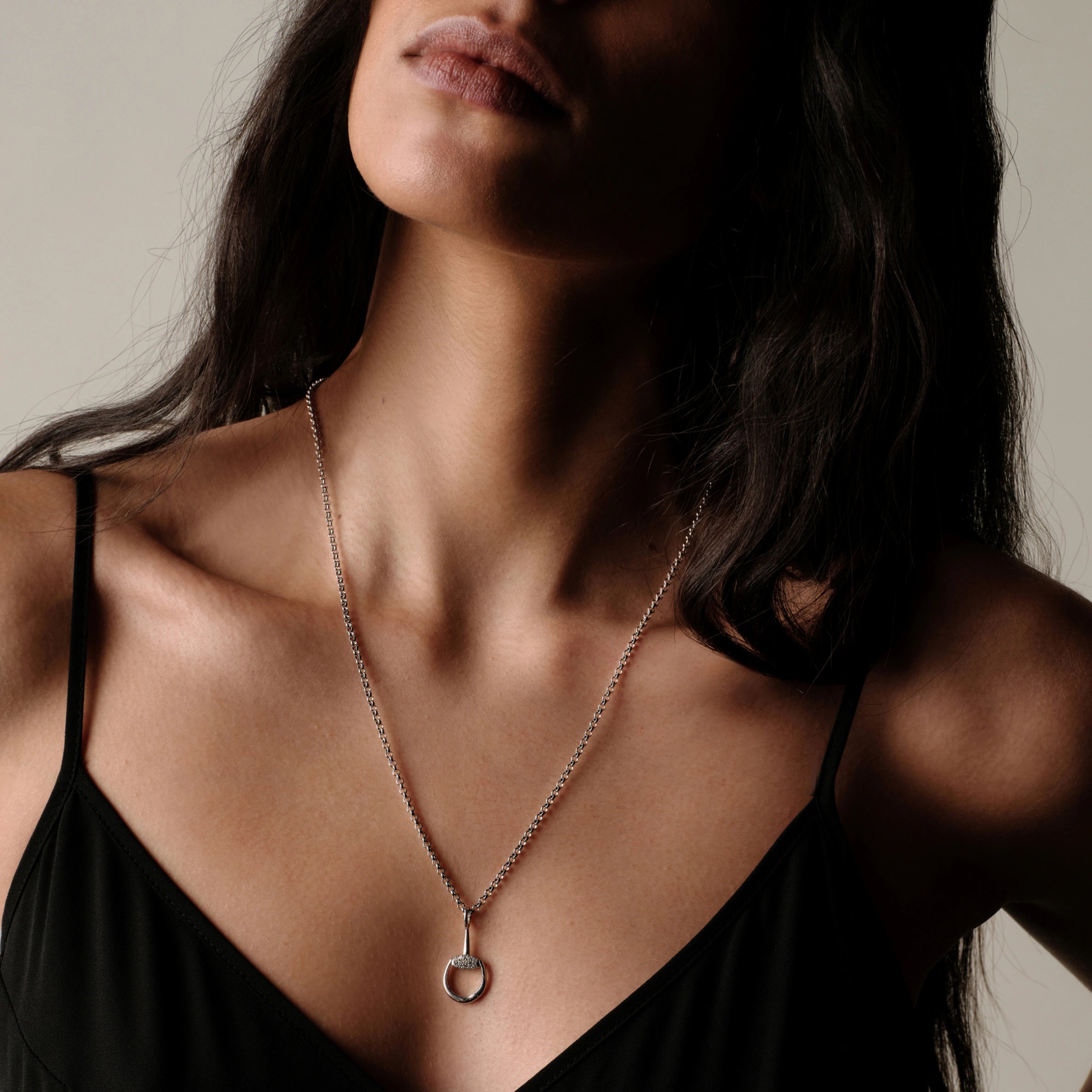 Awe Inspired Necklaces Horsebit Charm Link Necklace