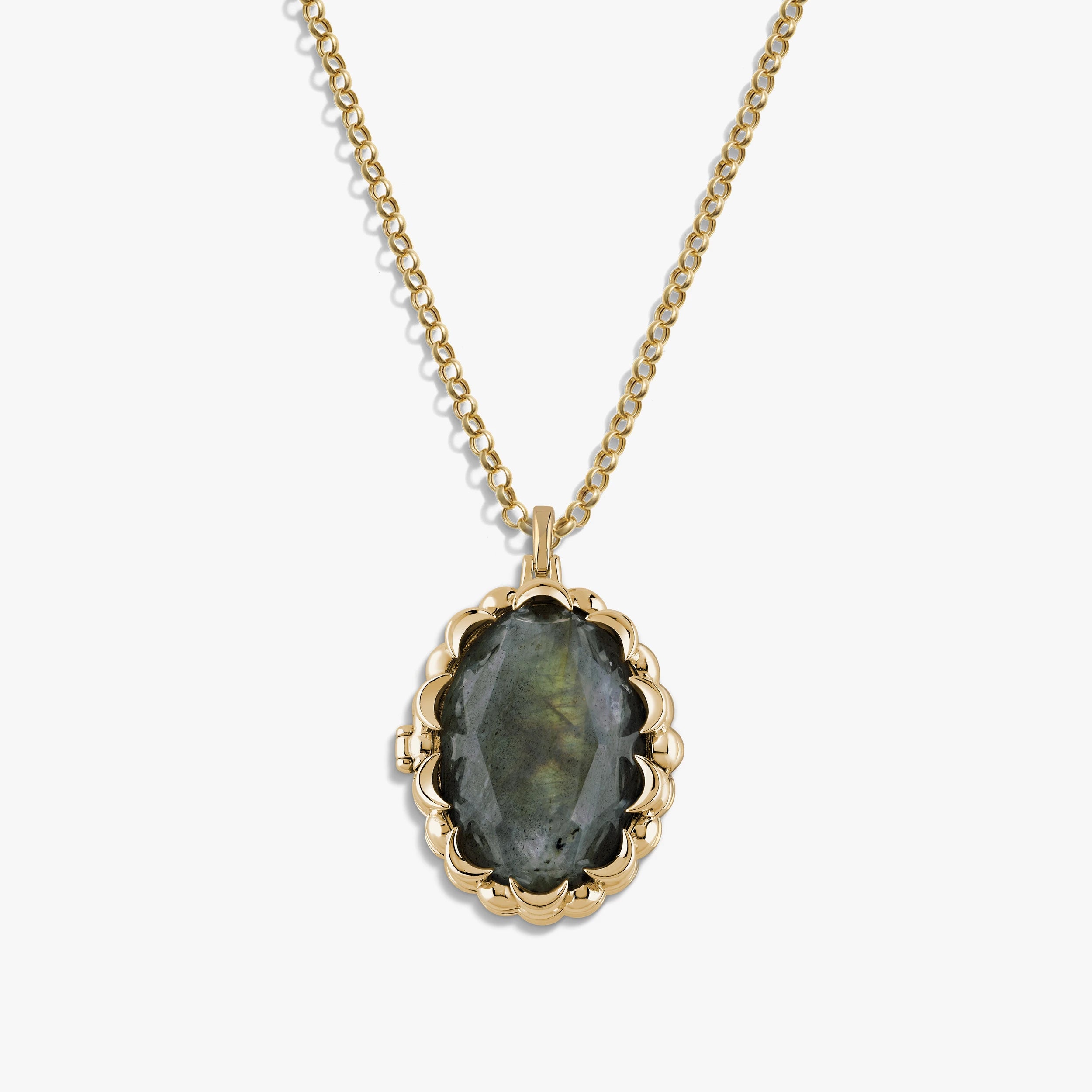 Awe Inspired Necklaces Labradorite / 14K Yellow Gold Vermeil / 16-18" Rolo Oracle Locket Necklace