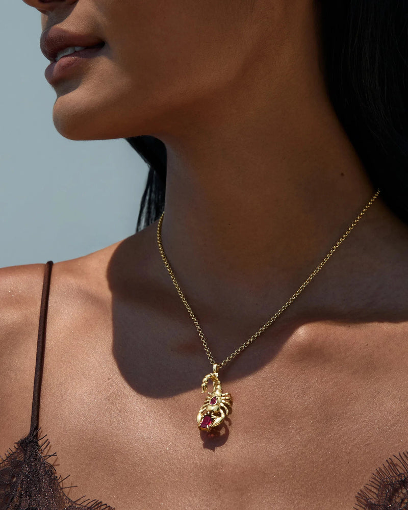 Awe Inspired Necklaces Scorpion Necklace