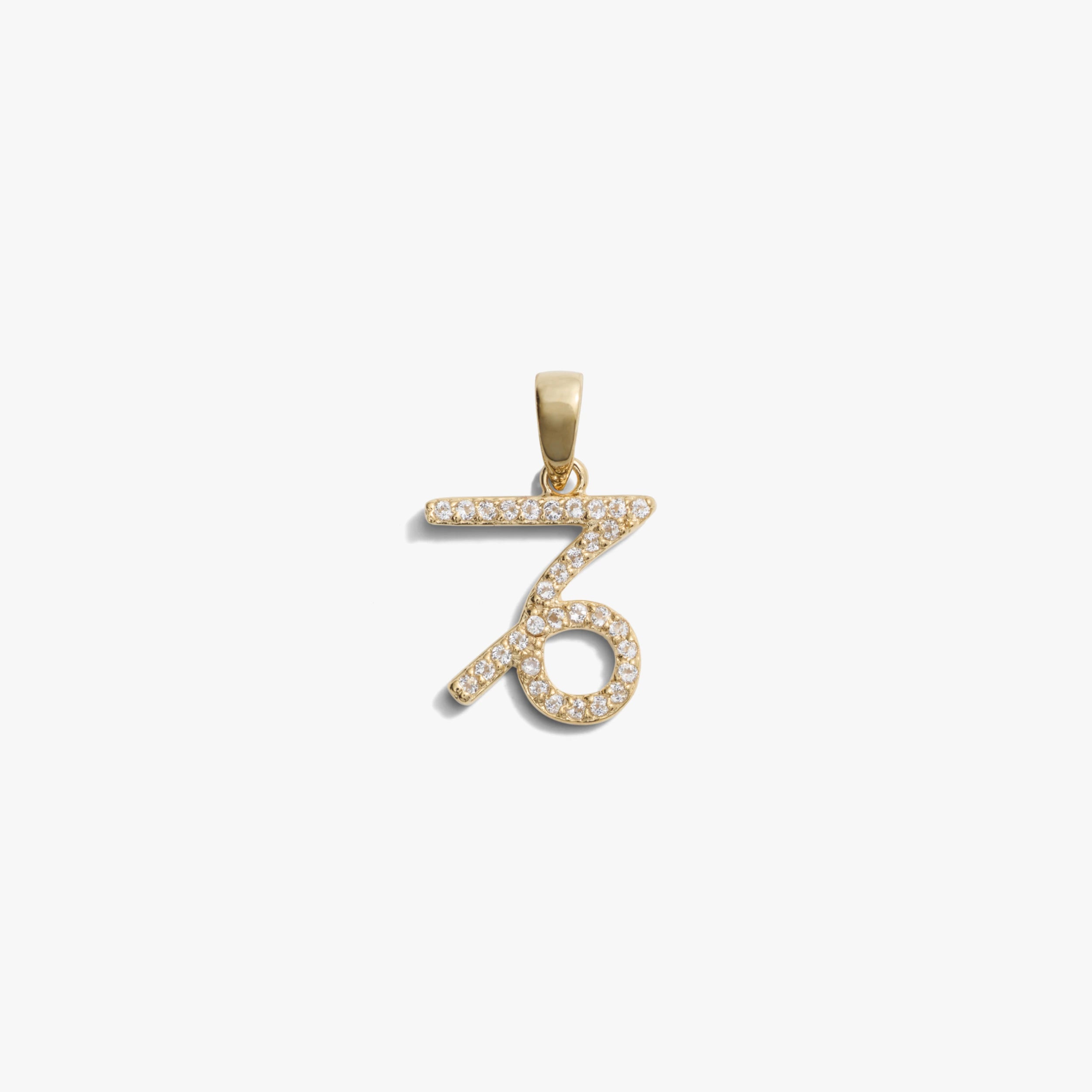 Awe Inspired Pendants 14K Yellow Gold Vermeil / Capricorn / Mini Zodiac Gemstone Amulet