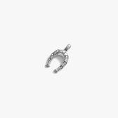 Awe Inspired Pendants Lucky Horseshoe Pendant