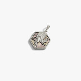 Awe Inspired Pendants Special Edition The Morrigan Pendant