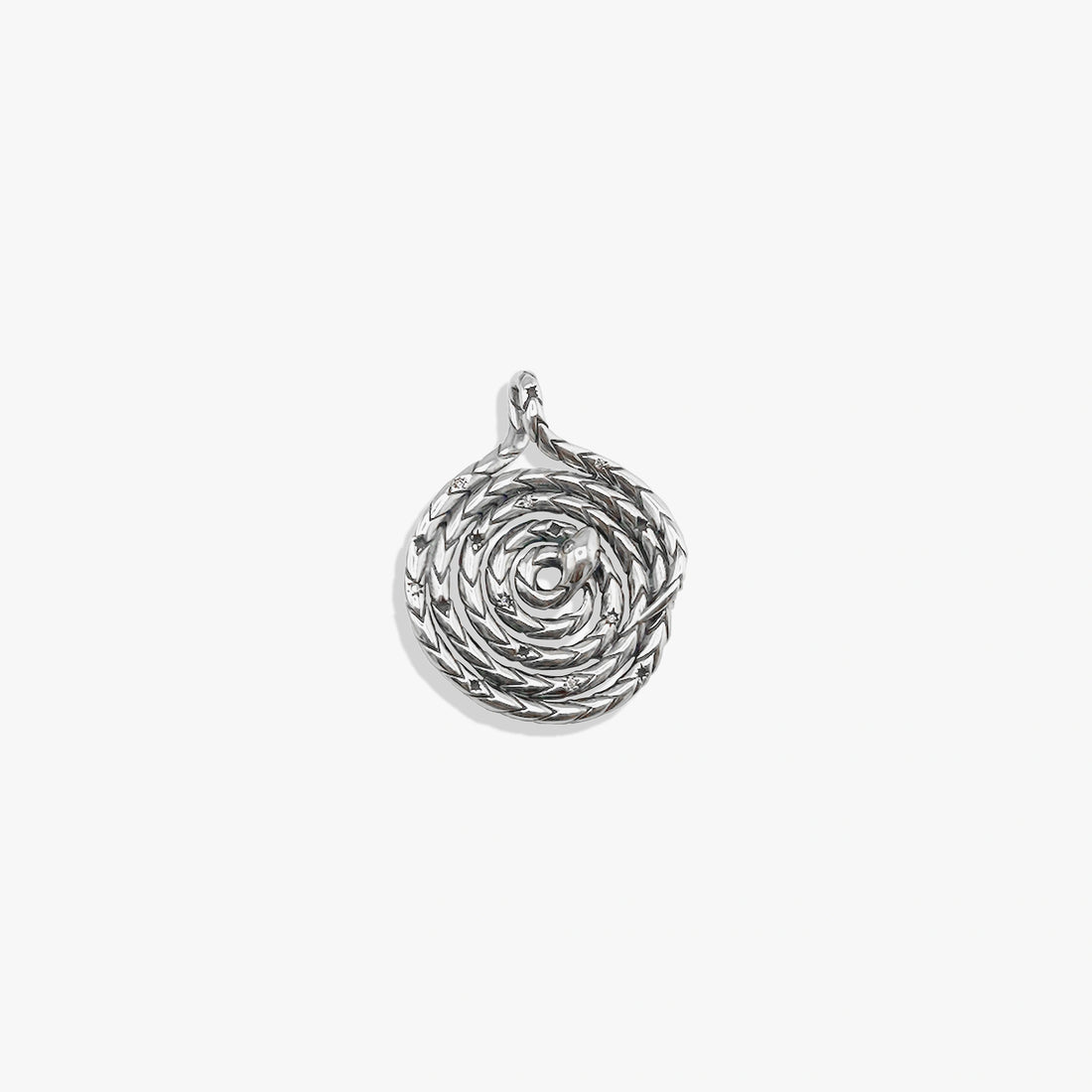 Awe Inspired Pendants Spiral Snake Coin