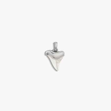 Shark Tooth Amulet 7792261333044