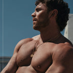 Awe Inspired Pendants Tiger's Eye Shield Pendant