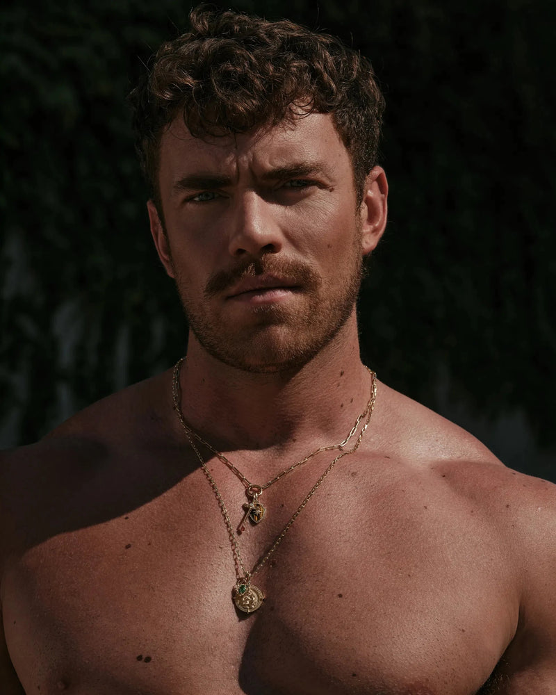 Awe Inspired Pendants Tiger's Eye Shield Pendant