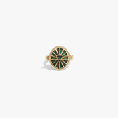 Awe Inspired Rings 14K Gold Vermeil / 5 Capricorn & Earth Flip Ring
