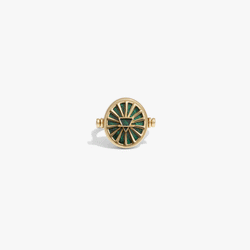 Awe Inspired  Rings Capricorn & Earth Flip Ring