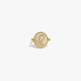 Awe Inspired Rings 14K Gold Vermeil / 5 Leo & Fire Flip Ring