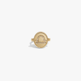 Awe Inspired Rings 14K Gold Vermeil / 5 Libra & Air Flip Ring