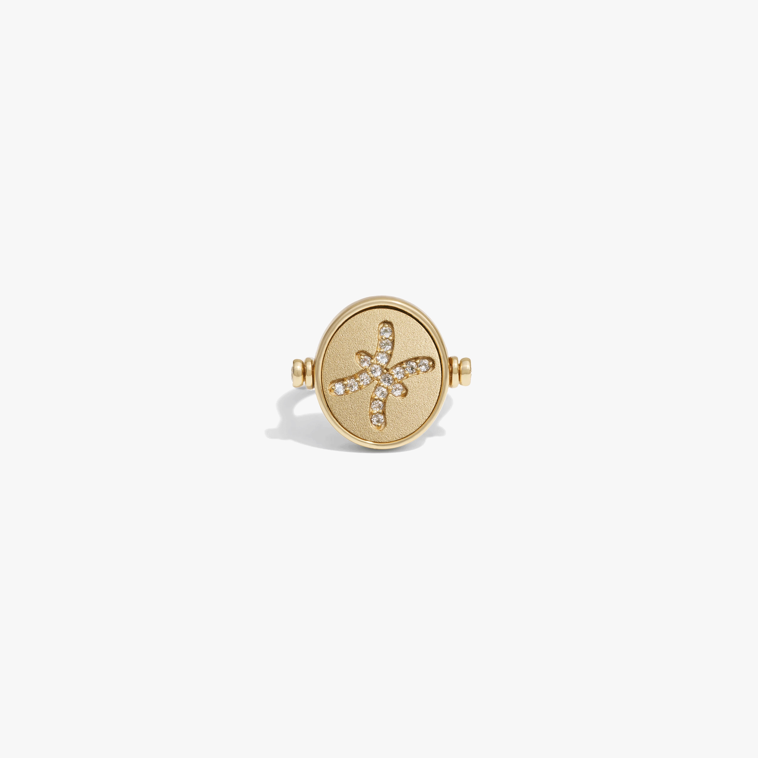 Awe Inspired Rings 14K Gold Vermeil / 5 Pisces & Water Flip Ring