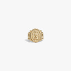 Awe Inspired Rings 14K Yellow Gold Vermeil / 4 Lilith Signet Ring