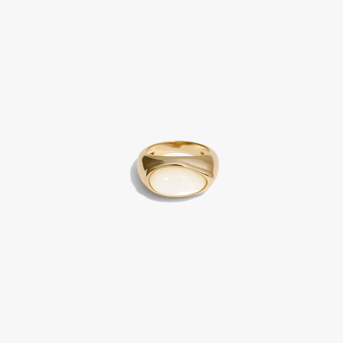 Awe Inspired Rings 14K Yellow Gold Vermeil / 4 Mother of Pearl Signet Ring