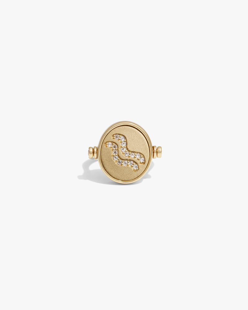 Awe Inspired Rings 14k Yellow Gold Vermeil / 5 Aquarius / Air Flip Ring