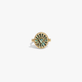 Awe Inspired Rings 14K Yellow Gold Vermeil / 5 Cancer & Water Flip Ring