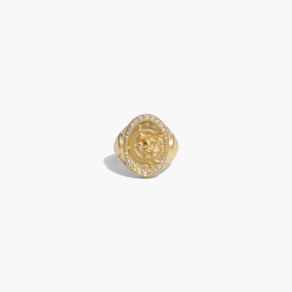 Awe Inspired Rings 14K Yellow Gold Vermeil / 5 Special Edition Selene Ring
