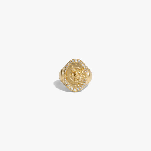 Awe Inspired Rings 14K Yellow Gold Vermeil / 5 Special Edition Selene Ring