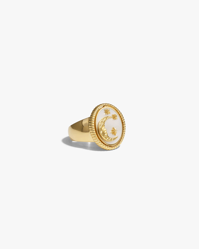 Awe Inspired Rings 14K Yellow Gold Vermeil / 6 Day to Night Ring