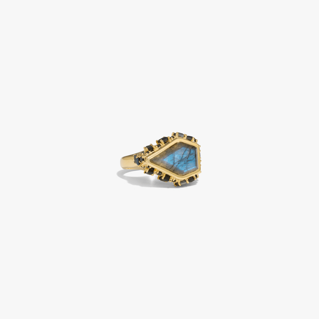Awe Inspired Rings 14K Yellow Gold Vermeil / 6 Poison Locket Ring