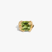 Awe Inspired Rings 14K Yellow Gold Vermeil / 6 Queen of the Fairies Statement Ring