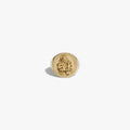 Awe Inspired Rings 14K Yellow Gold Vermeil / 9 Achilles Signet Ring