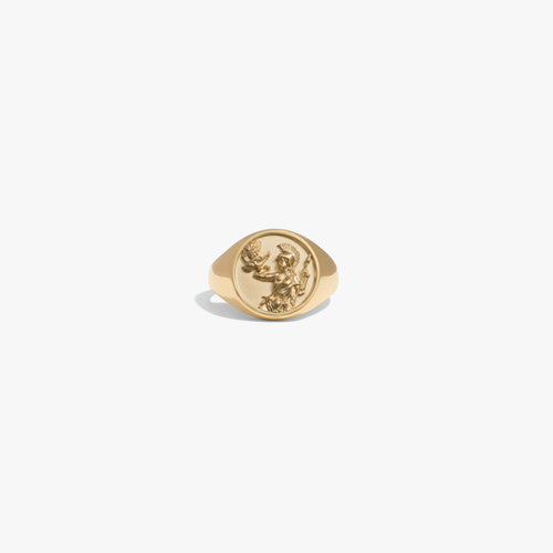 Awe Inspired Rings 14K Yellow Gold Vermeil / Athena / 6 Goddess Rework Signet Ring