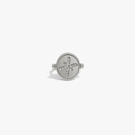 Pisces & Water Flip Ring