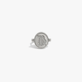 Awe Inspired Rings 925 Sterling Silver / 5 Virgo & Earth Flip Ring