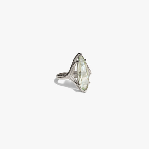 Awe Inspired  Rings Raven Talon Ring