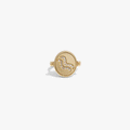 Awe Inspired Rings 14K Gold Vermeil / Aquarius / 5 Special Offer Zodiac Element Flip Ring