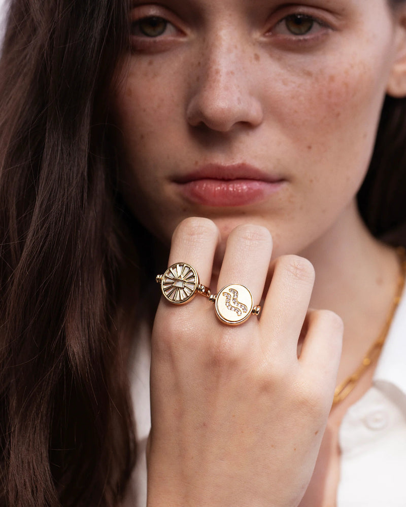 Awe Inspired Rings Aquarius / Air Flip Ring