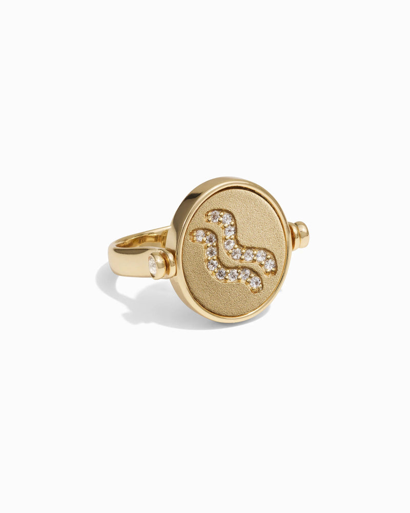 Awe Inspired Rings Aquarius / Air Flip Ring