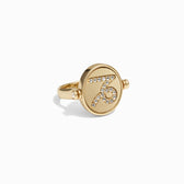 Awe Inspired Rings Capricorn / Earth Flip Ring