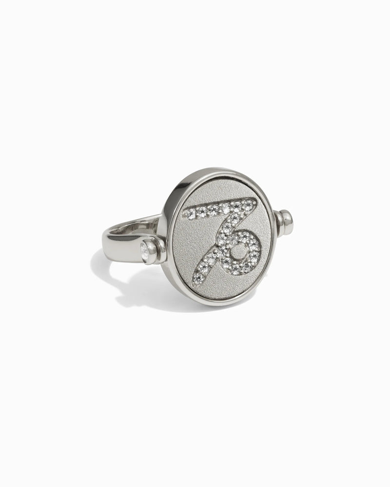 Awe Inspired Rings Capricorn / Earth Flip Ring