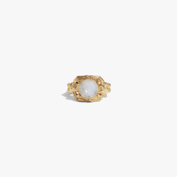 Awe Inspired  Rings Fallen Angels Ring
