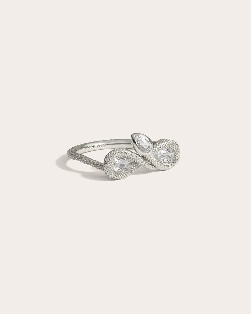 Awe Inspired Rings Infinity Snake Ring