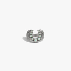 Awe Inspired  Rings Lucky Horseshoe Signet Ring