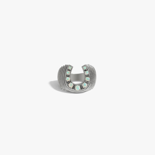 Awe Inspired  Rings Lucky Horseshoe Signet Ring
