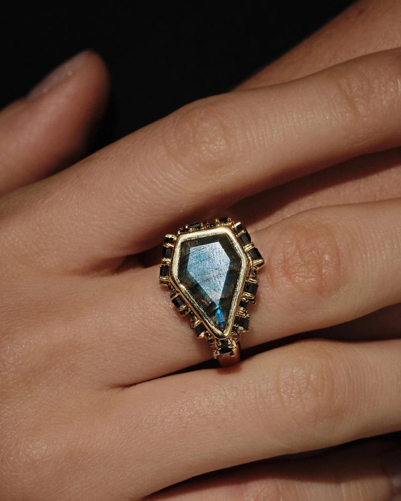 Awe Inspired Rings Poison Locket Ring