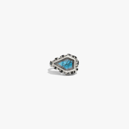 Awe Inspired  Rings Poison Locket Ring