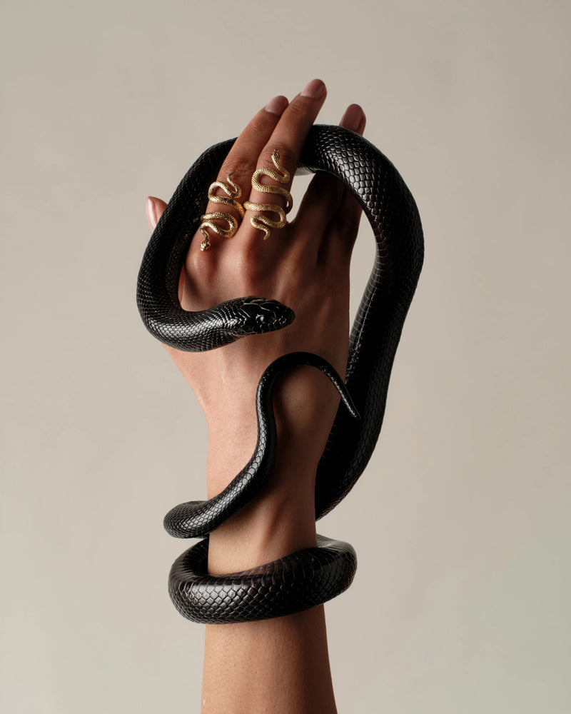 Awe Inspired Rings Snake Wrap Ring