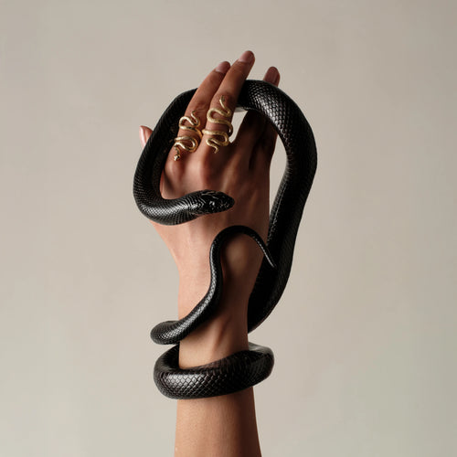 Awe Inspired Rings Snake Wrap Ring