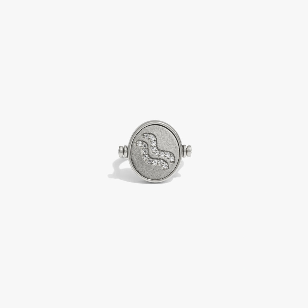 Awe Inspired Rings Sterling Silver / 5 Aquarius & Air Flip Ring
